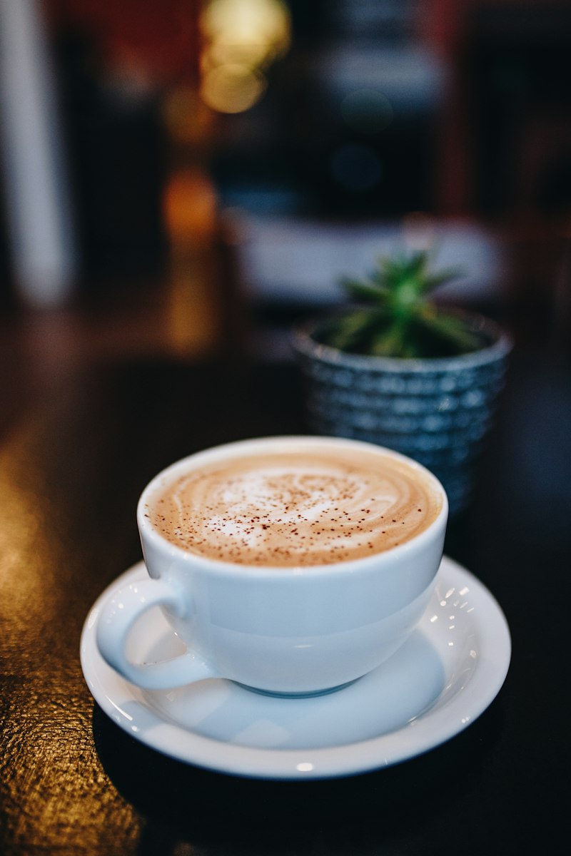 Filter V60